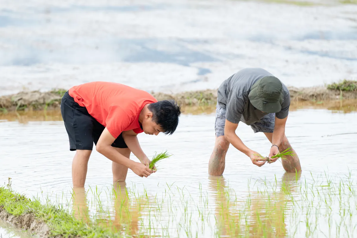 Bố ơi, mình đi đâu thế - Tập 11: Các ông bố đòi đối đầu với bác Leng Keng - Ảnh 2.