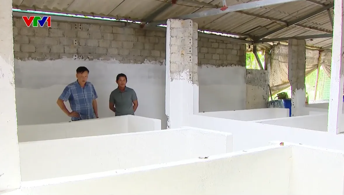 Nhiều hộ chăn nuôi trắng tay vì dịch tả lợn châu Phi- Ảnh 1. Nhiều hộ chăn nuôi trắng tay vì dịch tả lợn châu Phi- Ảnh 1.