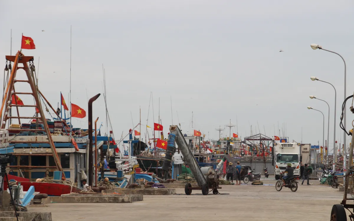 Khuôn viên cảng cá Ninh Cơ. Ảnh: Mai Chiến Khuôn viên cảng cá Ninh Cơ. Ảnh: Mai Chiến