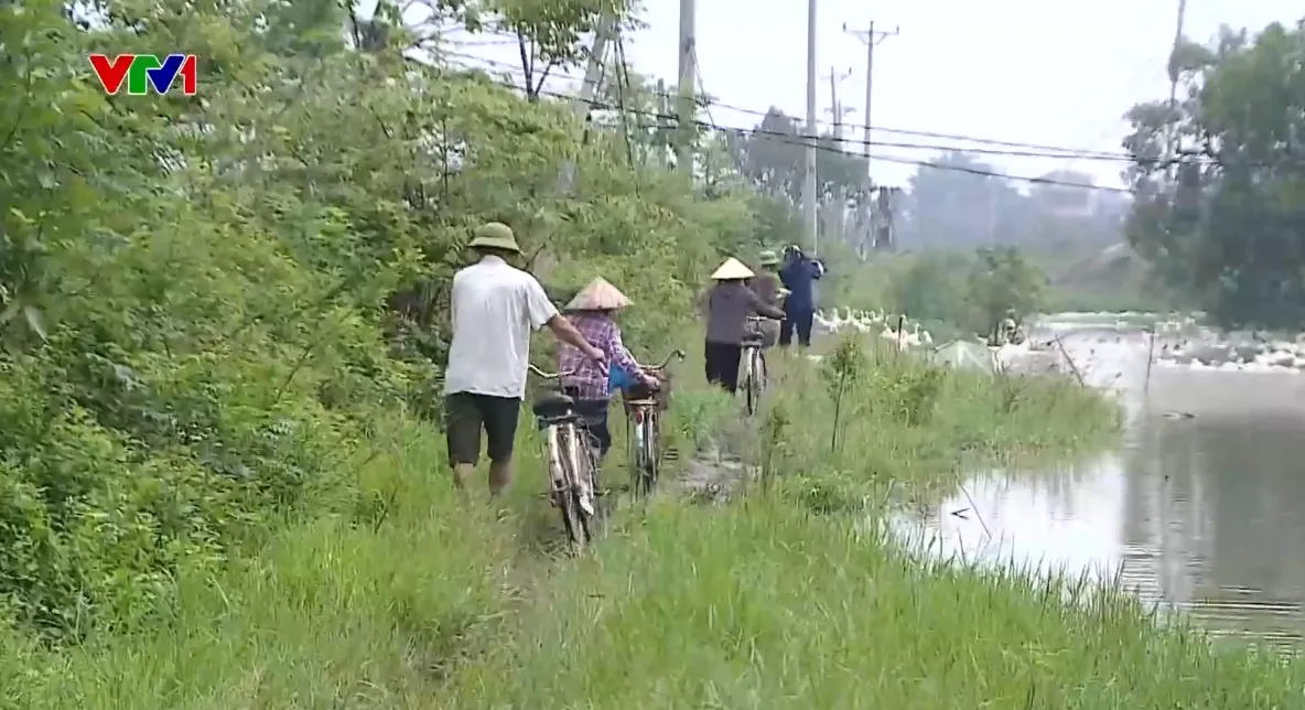 Người dân khổ sở vì đường nội đồng xây dựng hơn 10 năm chưa xong - Ảnh 1.