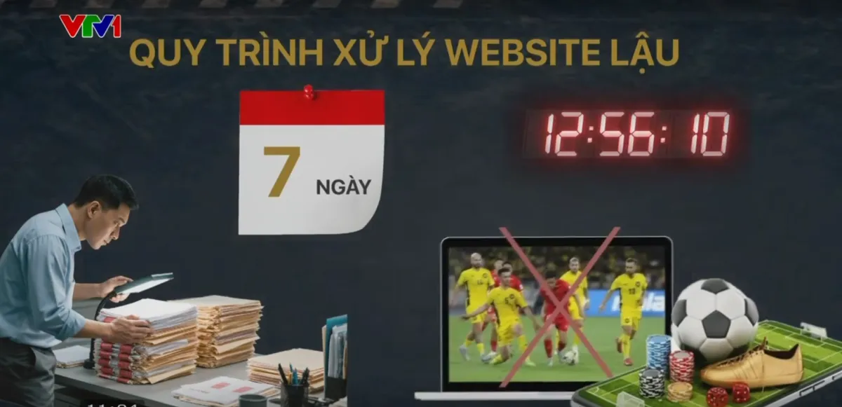 Nhà mạng và trách nhiệm ngăn chặn vi phạm bản quyền trên không gian mạng - Ảnh 2.