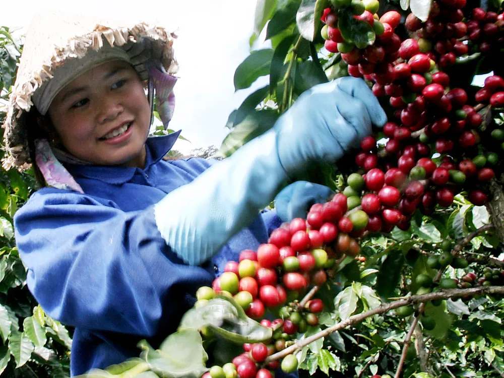 Xuất khẩu khởi sắc, vừa mừng vừa lo - Ảnh 3.