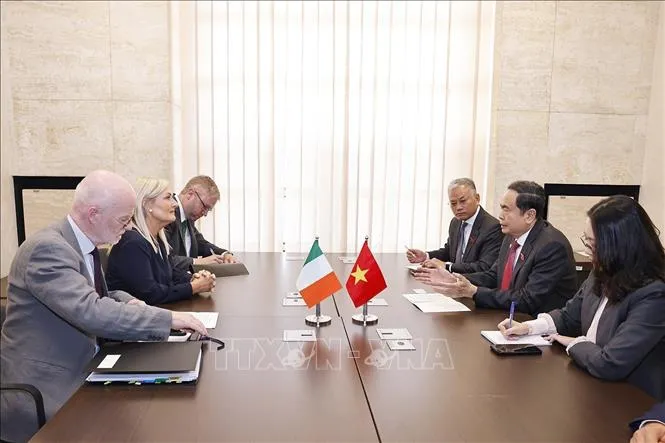 Chủ tịch Quốc hội Trần Thanh Mẫn gặp Chủ tịch Hạ viện Cộng hòa Ireland - Ảnh 2.
