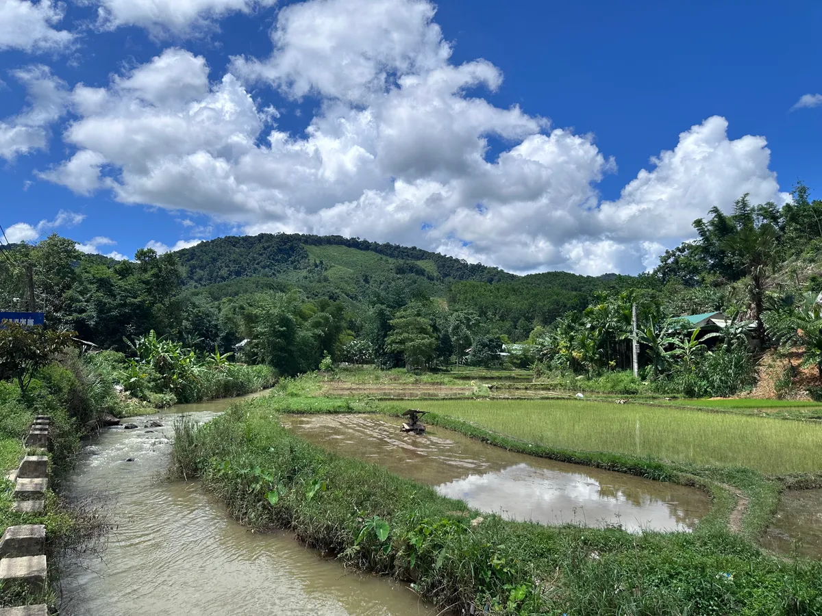 T&acirc;y tiến - H&agrave;nh tr&igrave;nh xuy&ecirc;n m&acirc;y, dệt nắng- Ảnh 1.