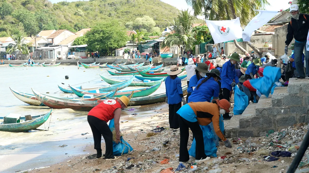 Người dân Khánh Hòa chung tay trồng rừng ngập mặn, lan tỏa thông điệp "Sống xanh"- Ảnh 1.
