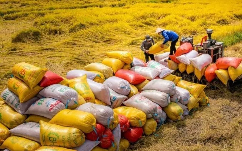 Gạo Việt Nam vẫn giữ được lợi thế ở phân khúc cao cấp 