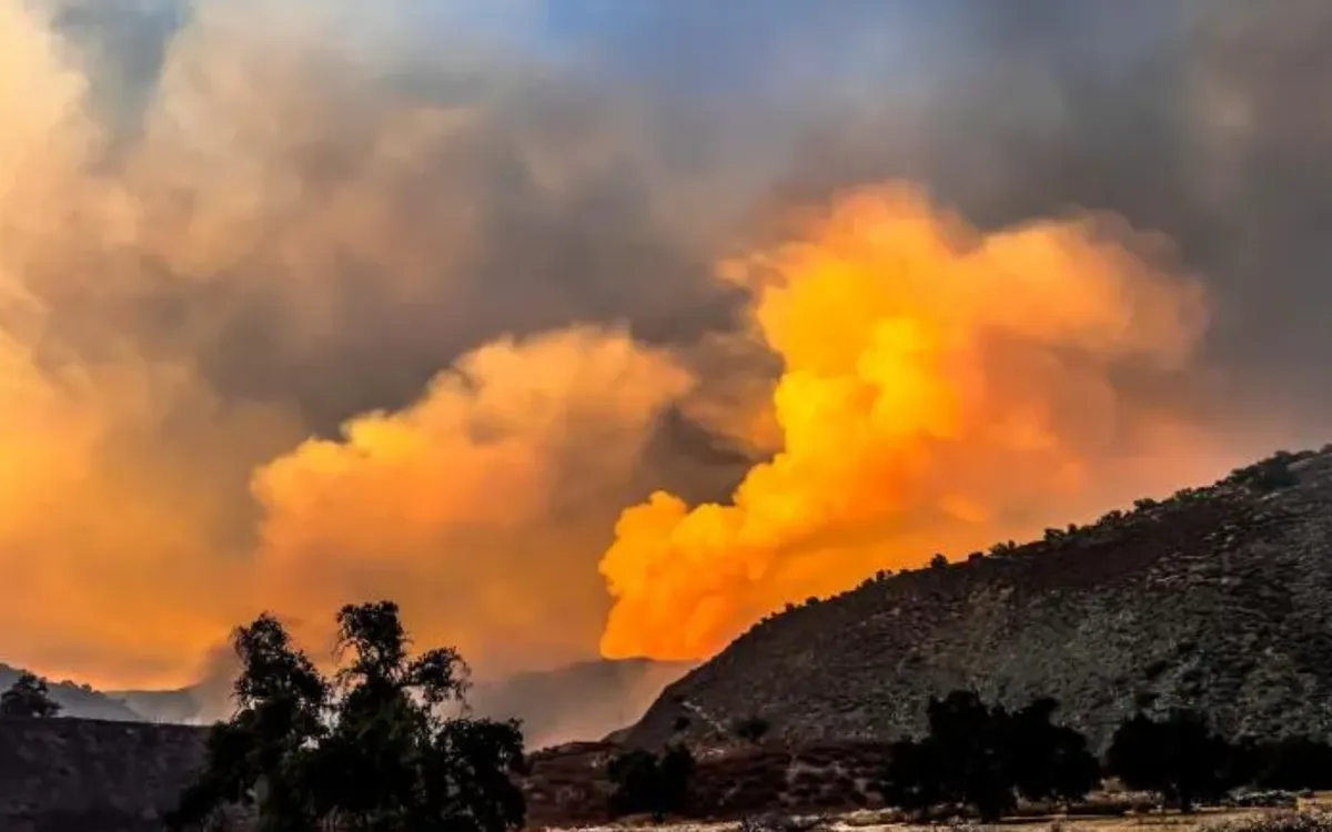 Đám cháy Gifford lan rộng gần 40.000 mẫu Anh (Ảnh: Los Padres National Forest)