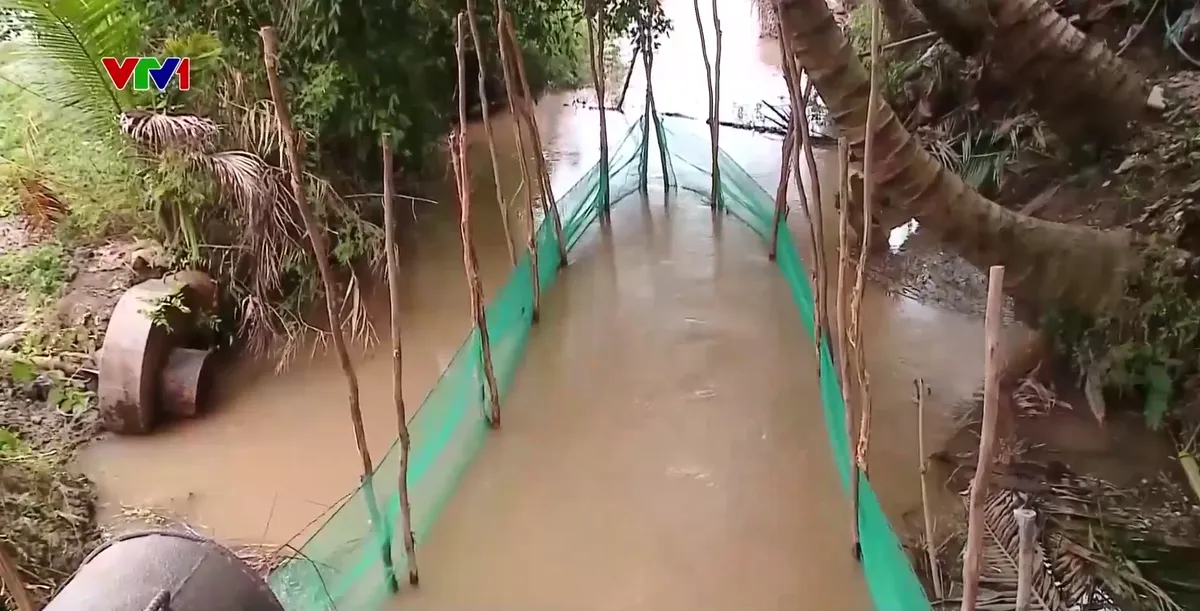 Đồng bằng s&ocirc;ng Cửu Long đ&oacute;n lũ  - Ảnh 2.