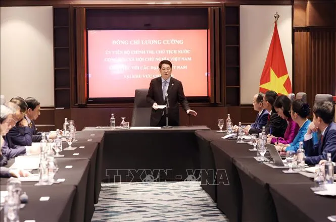 Chủ tịch nước Lương Cường làm việc với các Đại sứ Việt Nam tại châu Phi- Ảnh 2.
