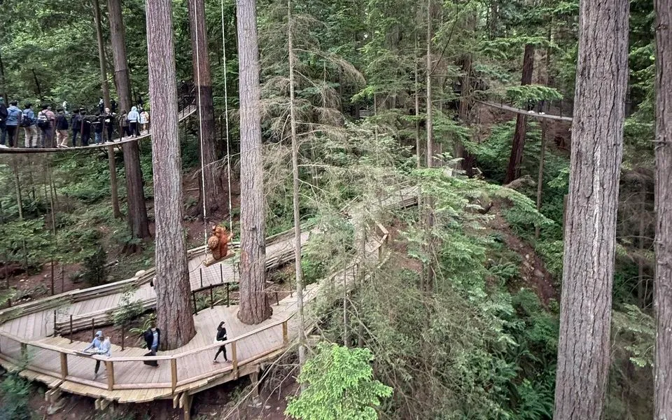 Du khách trải nghiệm Capilano Suspension Bridge .