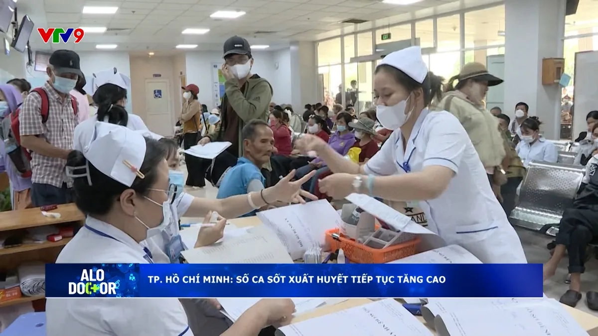 Alo Doctor (05/8/2025): TP. Hồ Chí Minh: Số ca sốt xuất huyết tiếp tục tăng cao