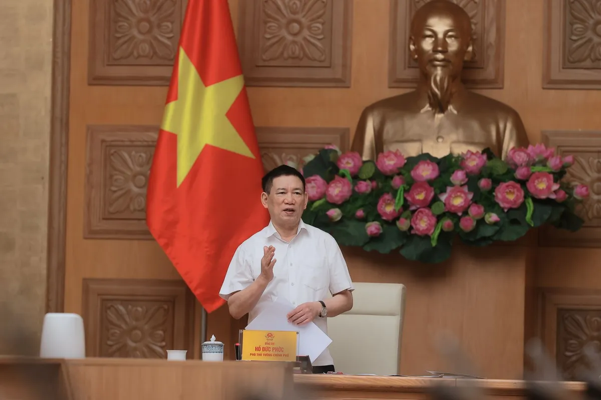Phó Thủ tướng Hồ Đức Phớc: Tập trung quản lý, điều hành giá hiệu quả để thúc đẩy tăng trưởng   - Ảnh 1.