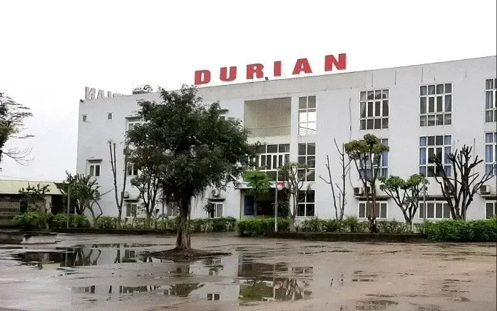 Công ty TNHH Durian. (Ảnh internet)