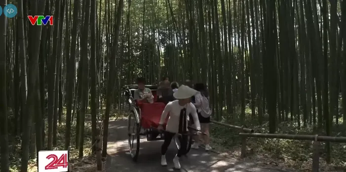 Những người kéo xe chật vật giữa nắng nóng chưa từng có tại Nhật Bản - Ảnh 2.