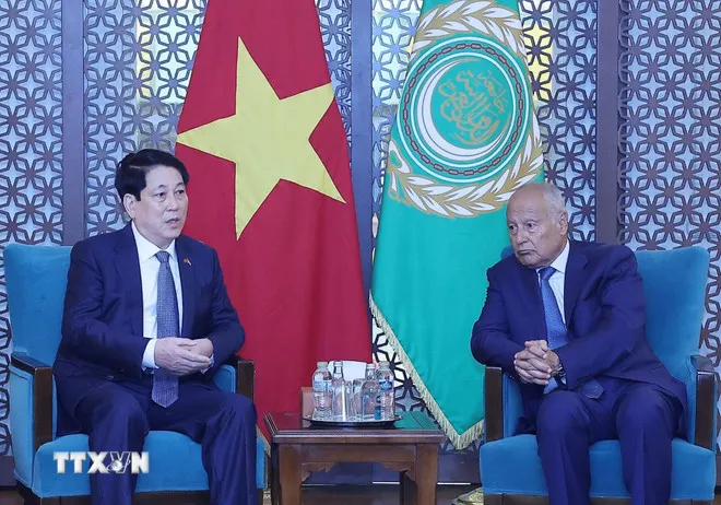 Việt Nam mong muốn phát triển quan hệ hiệu quả hơn nữa với Liên đoàn Arab - Ảnh 2.