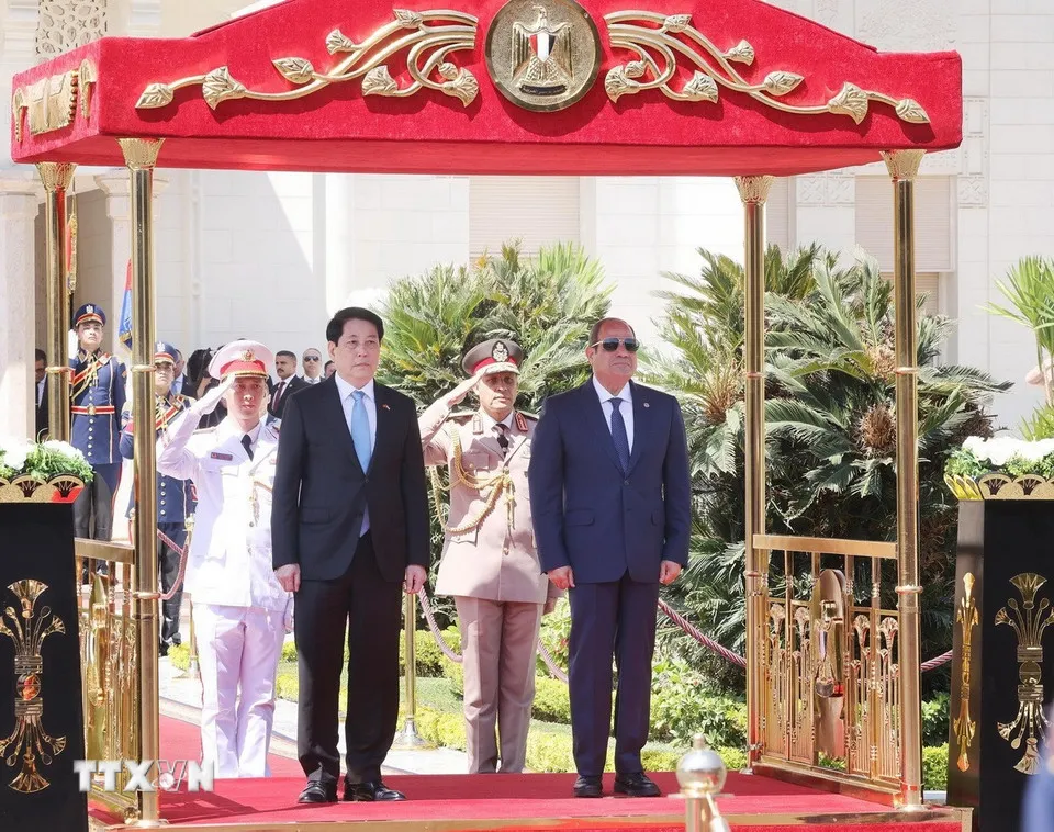 Lễ đón Chủ tịch nước Lương Cường thăm cấp Nhà nước Cộng hòa Arab Ai Cập - Ảnh 3.