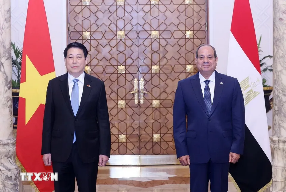 Lễ đón Chủ tịch nước Lương Cường thăm cấp Nhà nước Cộng hòa Arab Ai Cập - Ảnh 5.