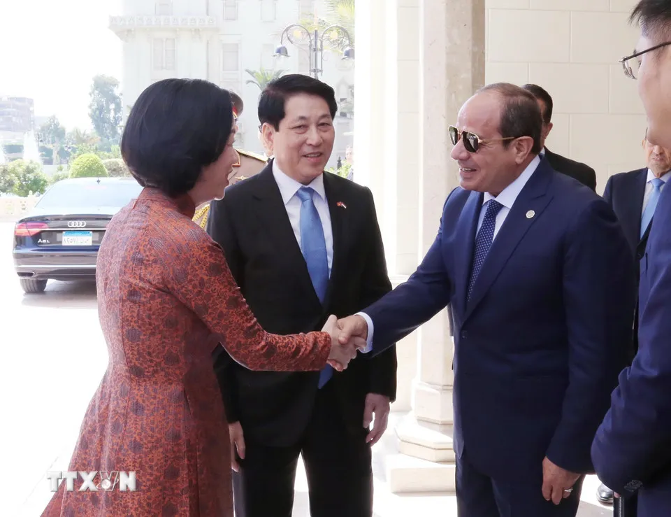 Lễ đón Chủ tịch nước Lương Cường thăm cấp Nhà nước Cộng hòa Arab Ai Cập - Ảnh 2.