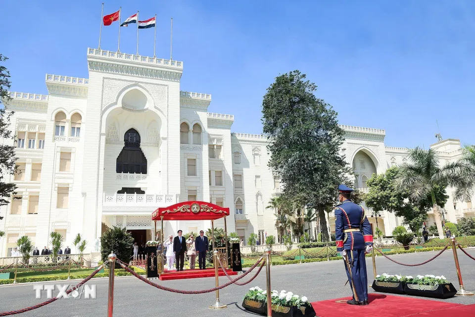 Lễ đón Chủ tịch nước Lương Cường thăm cấp Nhà nước Cộng hòa Arab Ai Cập - Ảnh 4.