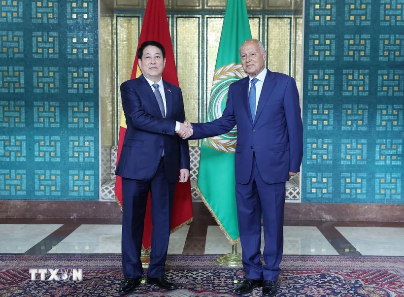 Việt Nam mong muốn phát triển quan hệ hiệu quả hơn nữa với Liên đoàn Arab - Ảnh 1.