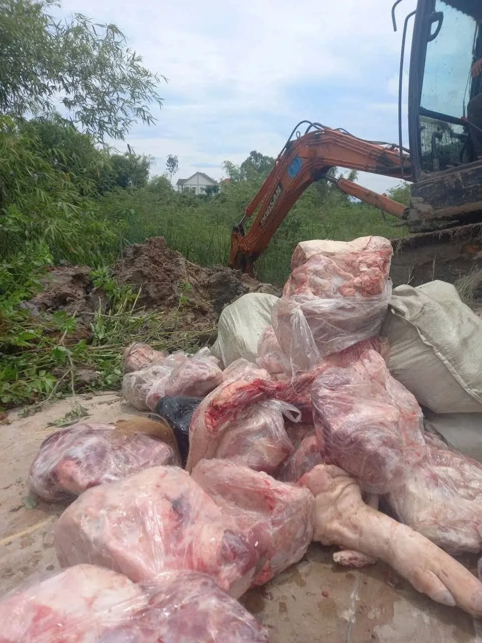 Nghệ An: Phát hiện gần 1 tấn thịt lợn nhiễm bệnh được cấp đông - Ảnh 1.