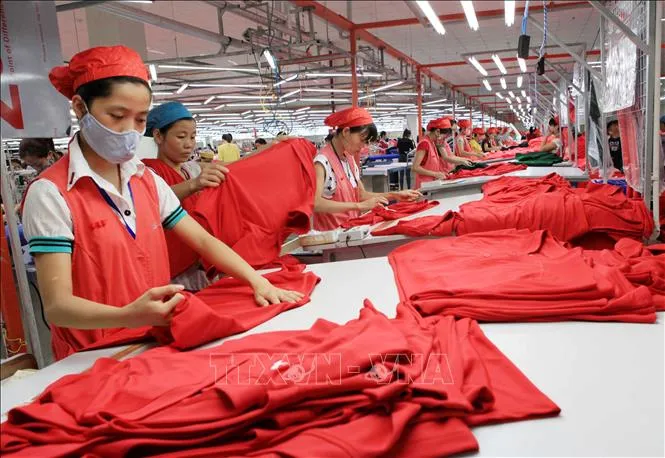 Mỹ áp thuế 20% lên hàng Việt: Đòn bẩy hay thách thức? - Ảnh 1.