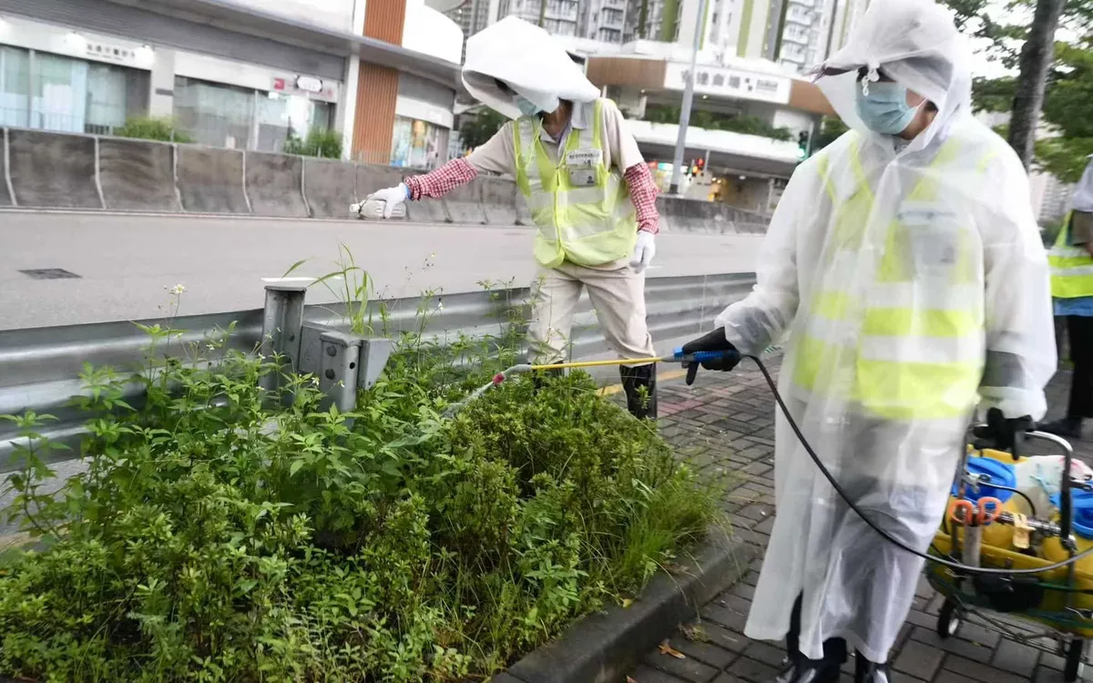 Nhân viên dịch tễ tại Hong Kong (Trung Quốc) xịt thuốc diệt muỗi tại các bụi cây (Ảnh: China Daily)