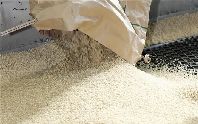 Nhật Bản thay đổi chính sách lúa gạo