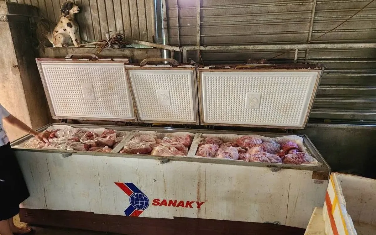 Số thịt lợn bị cơ quan chức năng phát hiện không có giấy tờ kiểm dịch, nguồn gốc xuất xứ và bị nhiễm bệnh. Ảnh: HP.