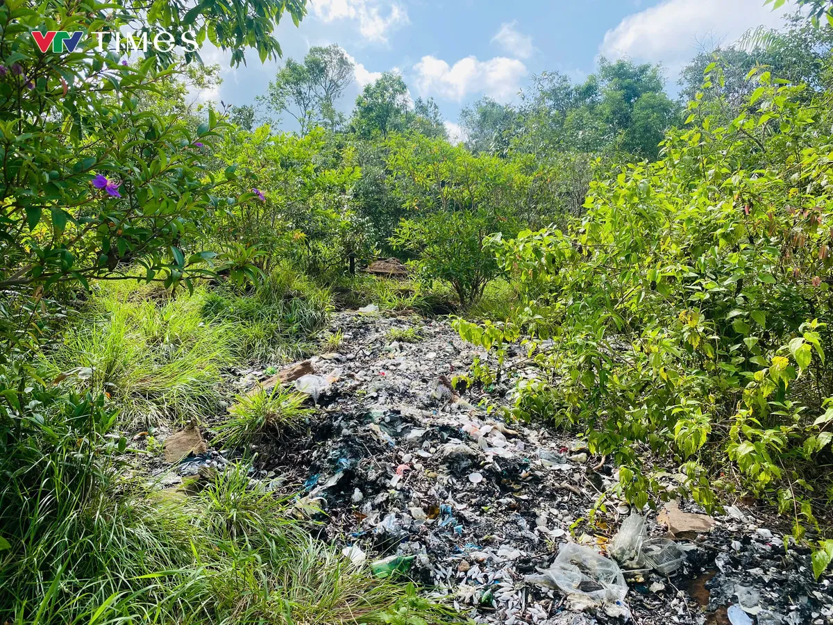 Người dân Phú Quốc di chuyển 18km để chung tay dọn dẹp rác thải - Ảnh 6.