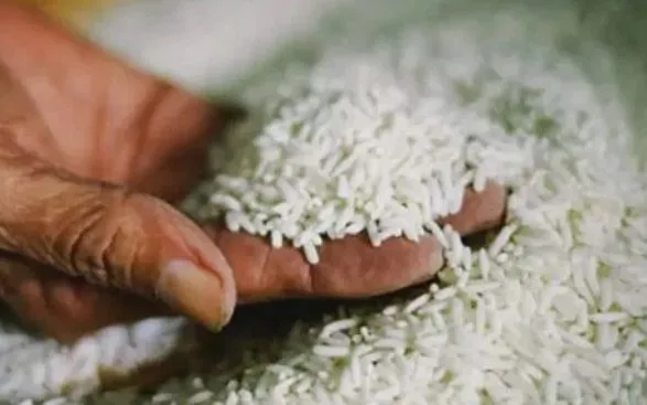 Ảnh minh họa. 