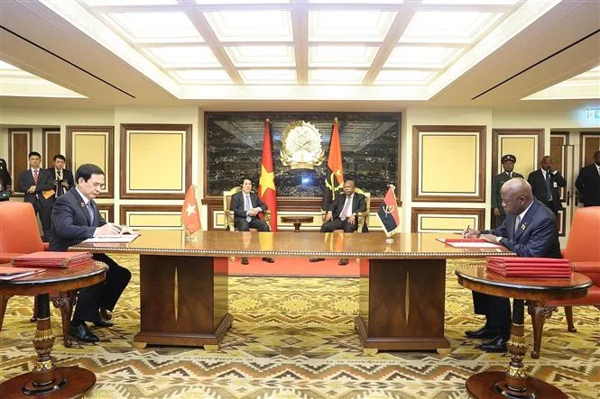 Chủ tịch nước Lương Cường và Tổng thống Angola chứng kiến lễ ký văn kiện hợp tác giữa hai nước - Ảnh 1.