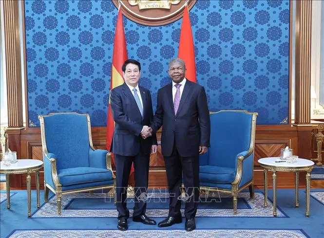 Chủ tịch nước Lương Cường đề nghị đưa thương mại Việt Nam - Angola đạt 1 tỷ USD - Ảnh 2.