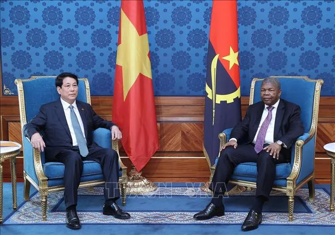 Chủ tịch nước Lương Cường đề nghị đưa thương mại Việt Nam - Angola đạt 1 tỷ USD - Ảnh 3.