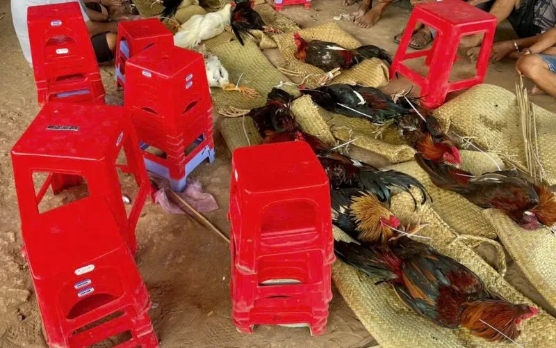 Tang vật bị thu giữ.