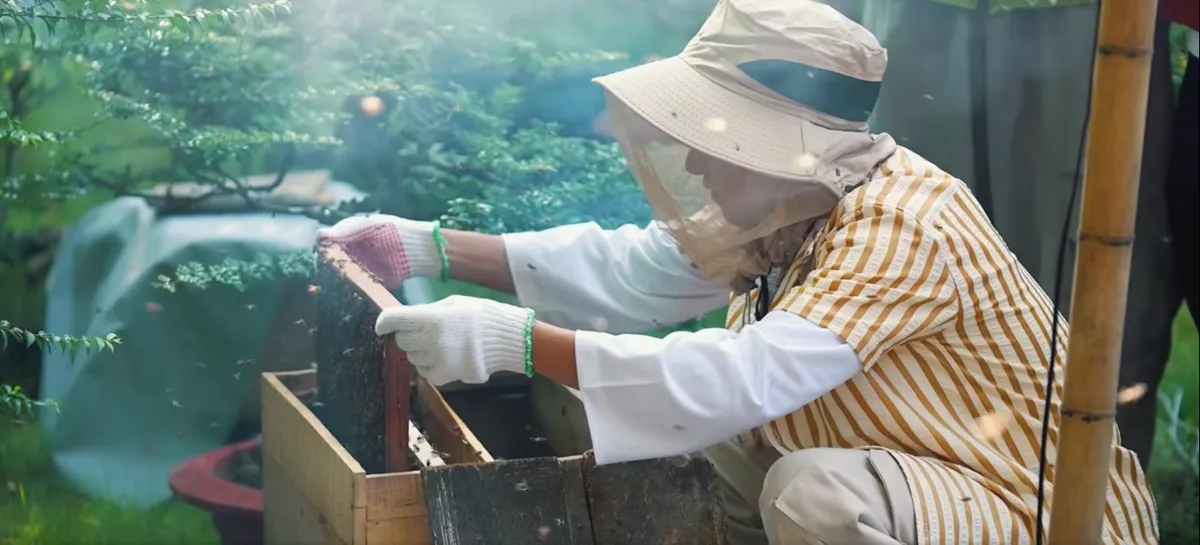 Gia đình Haha - Tập 9: Những ngày nơi mênh mang sông nước miền Tây - Ảnh 1.