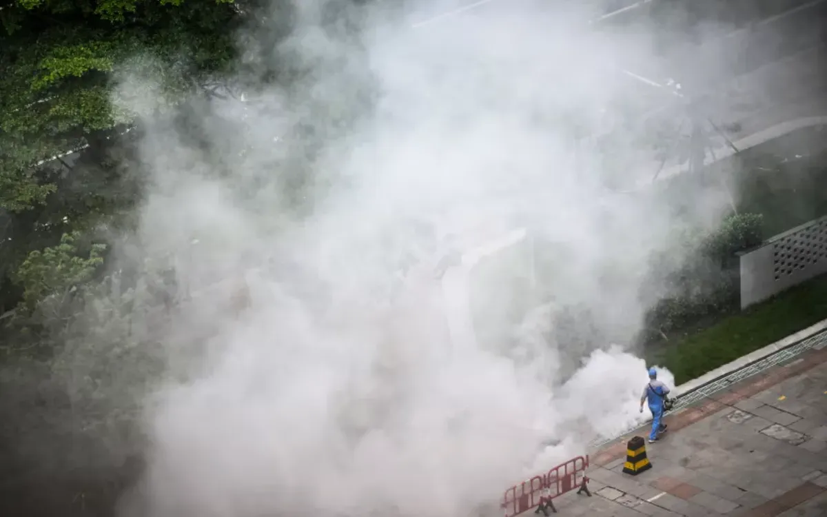 Trung Quốc: Dịch sốt chikungunya tại Quảng Đông giảm nhưng nguy cơ vẫn hiện hữu- Ảnh 1.