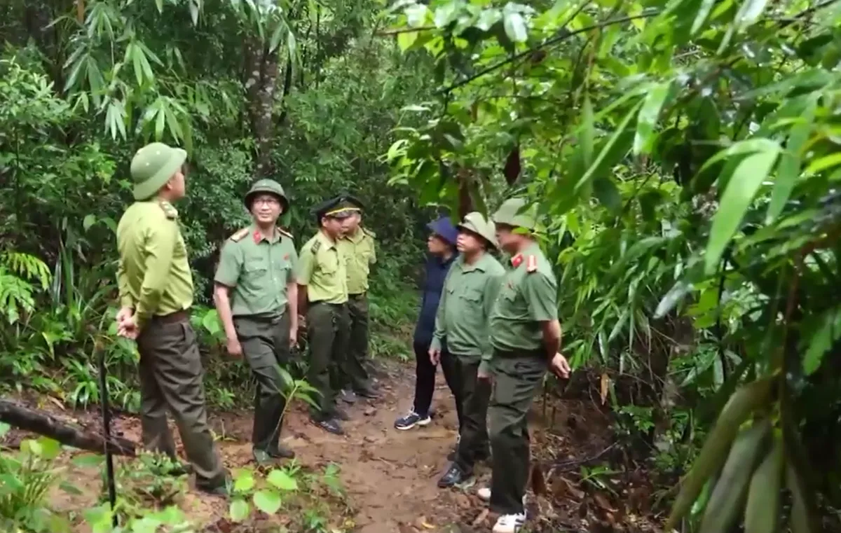 Bắc Ninh: Dấu hiệu buông lỏng quản lý để rừng tự nhiên ‘hô biến’ thành rừng trồng kinh tế - Ảnh 4.