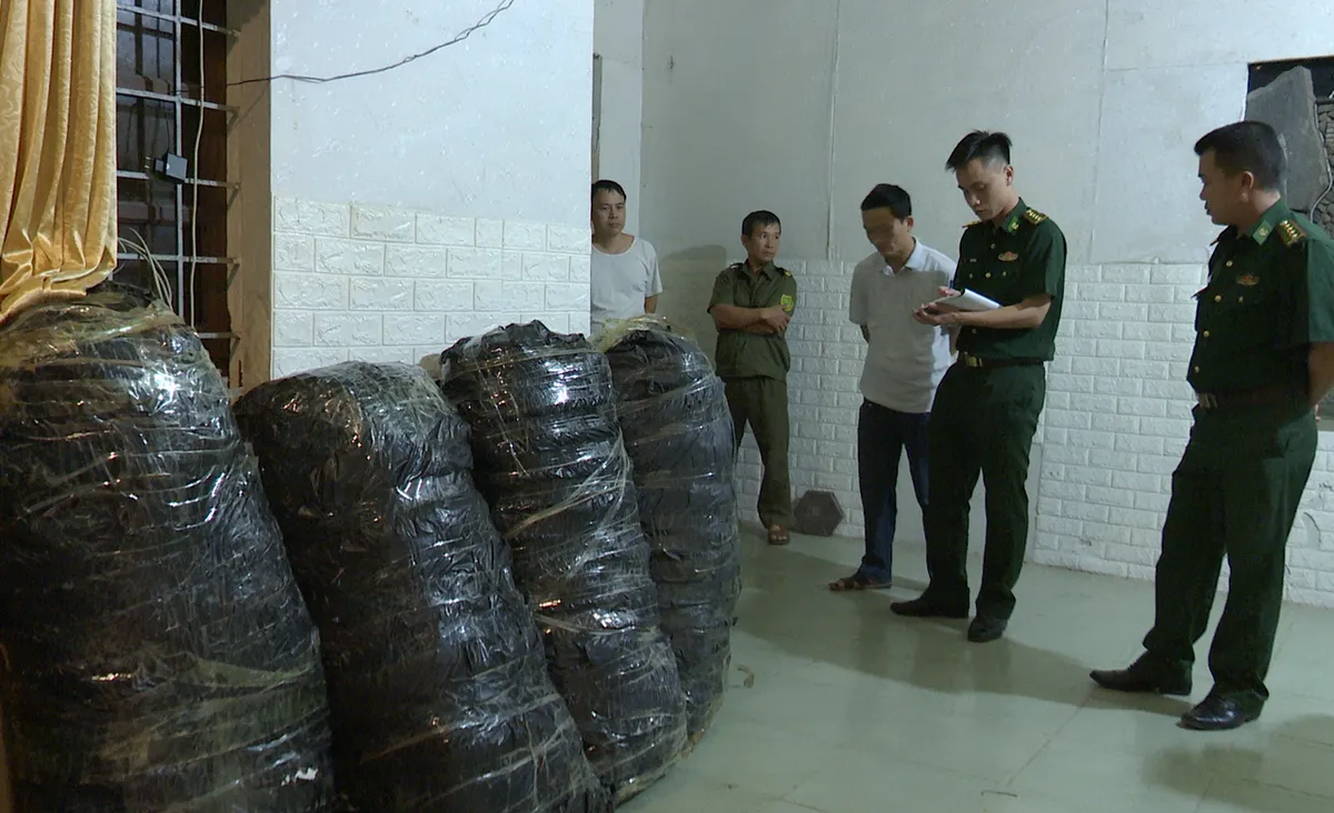 Bắt nam thanh niên vận chuyển, tàng trữ 240 kg cần sa - Ảnh 2.