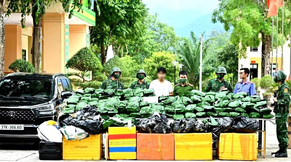 Bắt nam thanh niên vận chuyển, tàng trữ 240 kg cần sa - Ảnh 1.