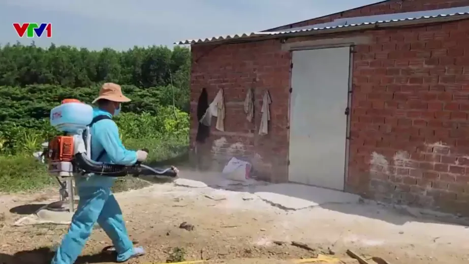 XÃ MIỀN NÚI CĂNG MÌNH CHỐNG DỊCH TẢ LỢN - Ảnh 1.