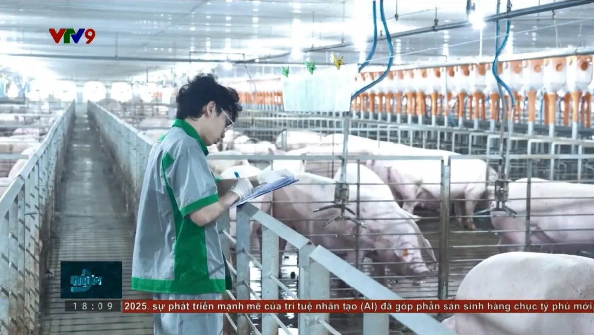 Chặn dịch tả heo châu Phi bằng công nghệ và cải tiến vaccine