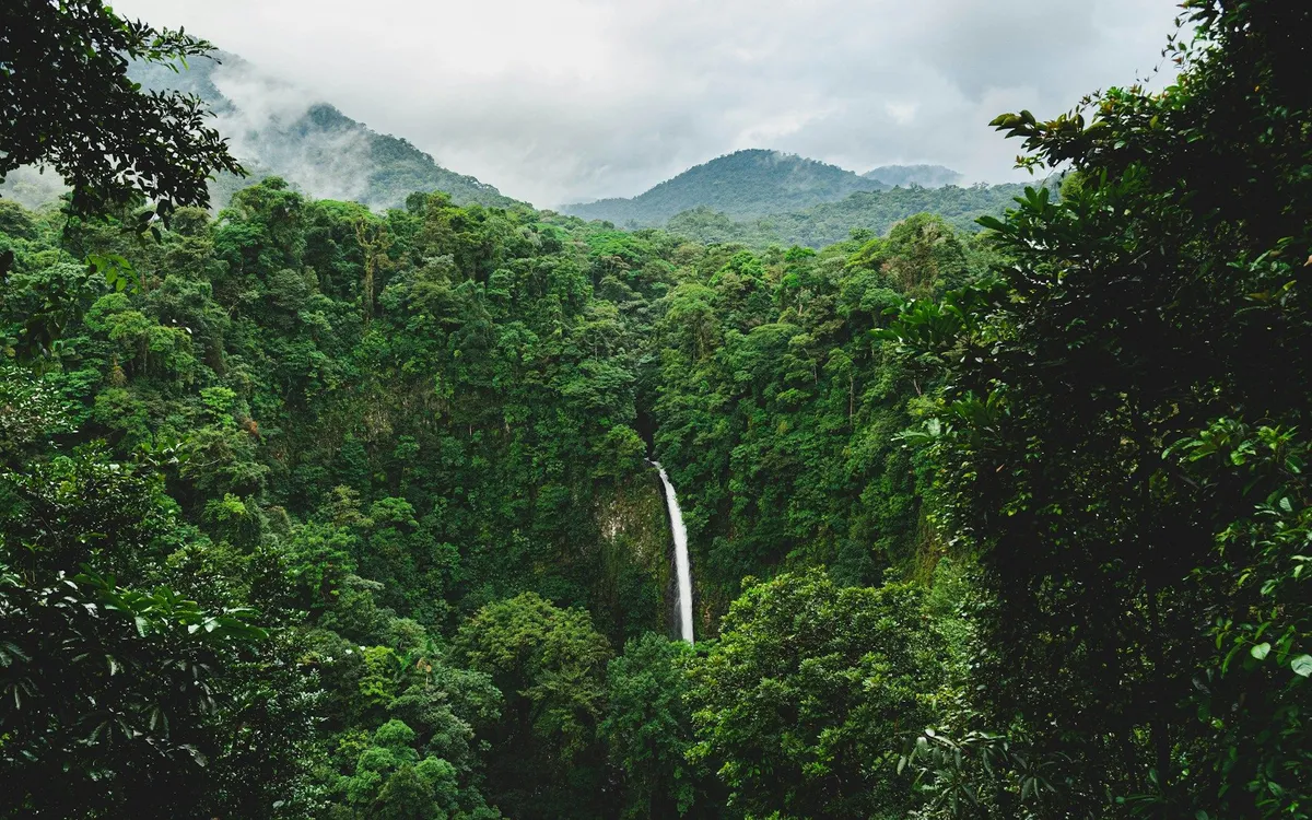 (Ảnh minh hoạ: Unsplash)