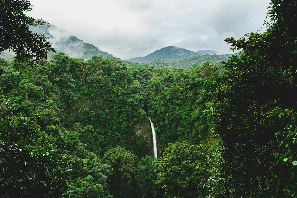 Costa Rica xây dựng bộ luật về khí hậu đầu tiên trên thế giới- Ảnh 1.