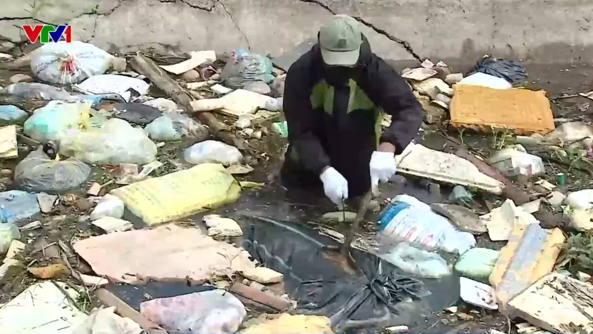 Nhiều xác lợn chết vứt tràn kênh tưới tiêu ở Phú Thọ, bốc mùi thối nồng nặc - Ảnh 1.