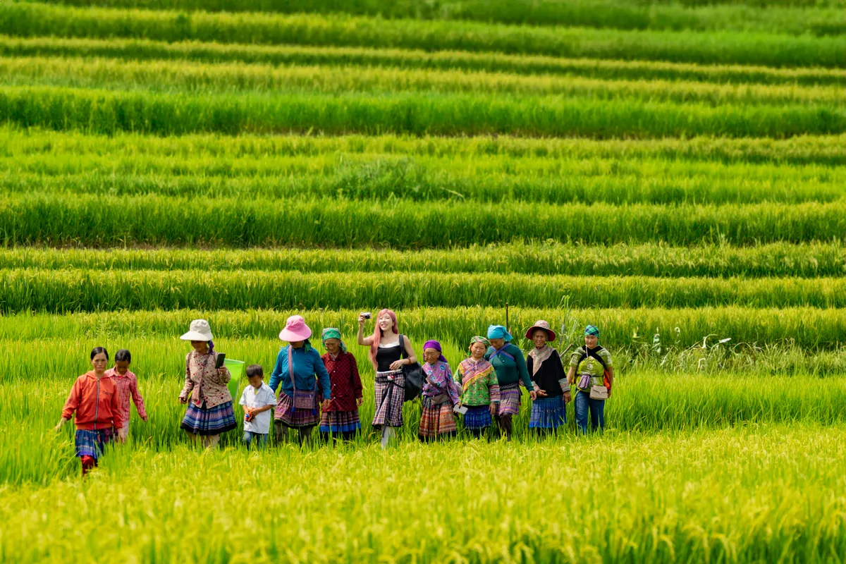 Trang Ph&aacute;p ch&iacute;nh thức ra mắt ca kh&uacute;c g&acirc;y x&uacute;c động tại V Fest "M&atilde;i l&agrave; người Việt Nam"- Ảnh 1.