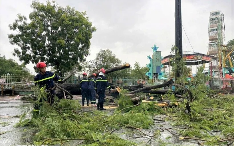 Hiện trường vụ cây xanh bị đổ khiến 2 người đi xe máy bị thương. (Ảnh: TTXVN)