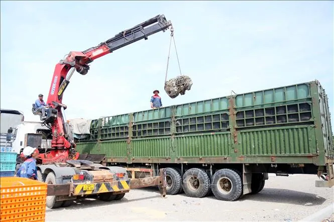 Xử phạt lái xe và doanh nghiệp vượt 400% tải trọng- Ảnh 1.