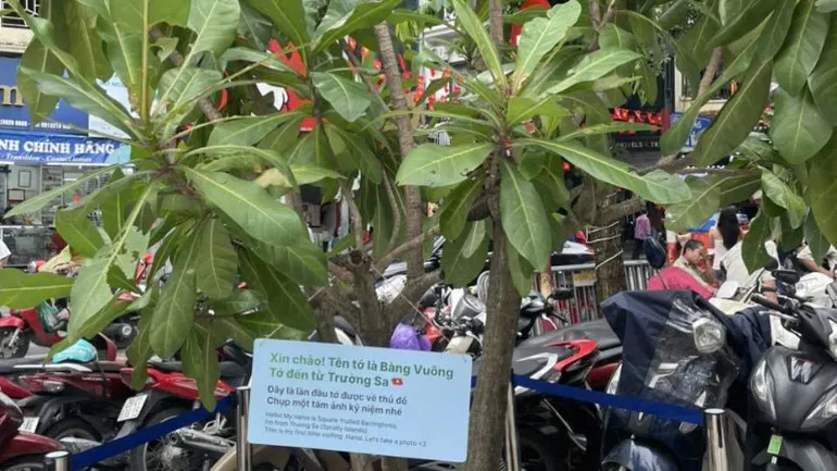 Triển l&atilde;m &ldquo;Một dải non s&ocirc;ng&rdquo; - vẻ đẹp v&agrave; &yacute; ch&iacute; nơi bi&ecirc;n cương, hải đảo - Ảnh 7.