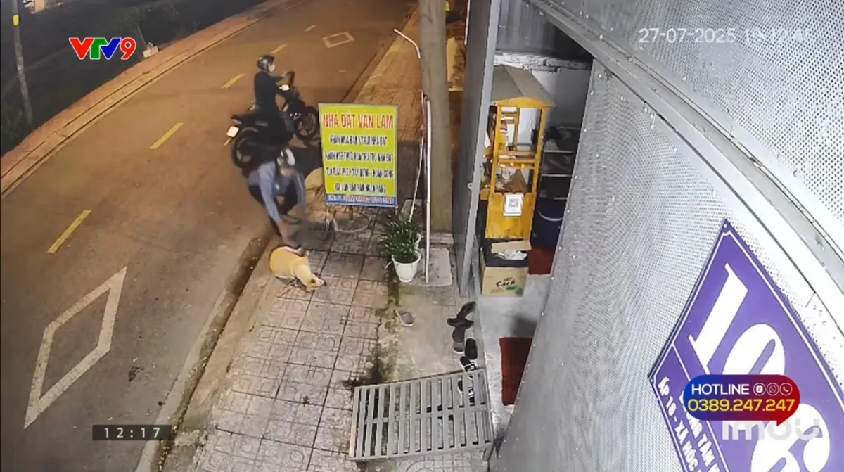Alo V9 (16/8/2025): Nạn trộm chó lộng hành